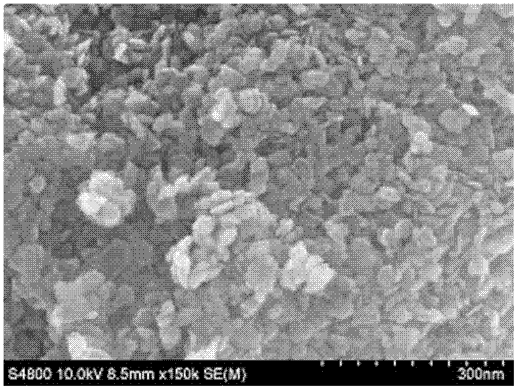 Tin bisulfide single-crystal nanosheets selectively absorbing organic dyes, and preparation method thereof