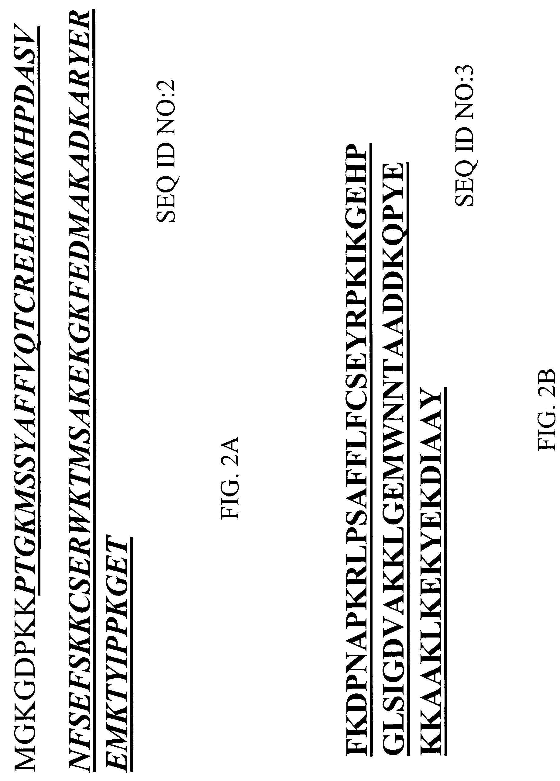 Monoclonal antibodies against HMGB1