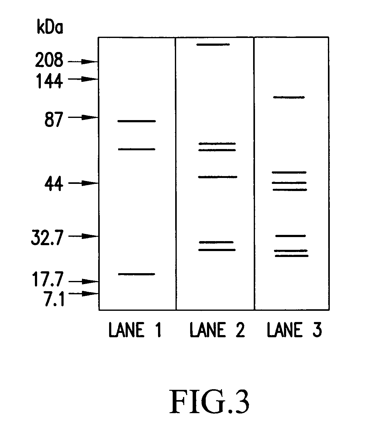 Fungal antigens and process for producing the same