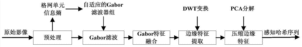 Remote-sensing image perceptual hash authentication method based on Gabor filter bank and DWT converting