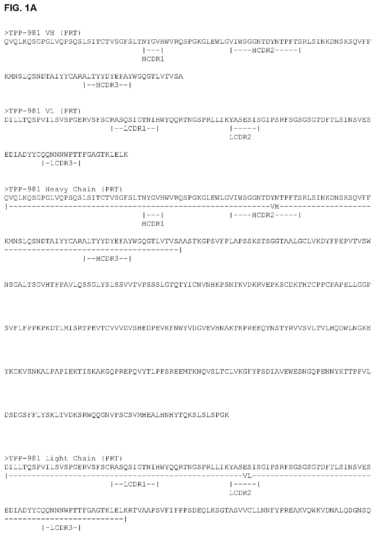 Antibody drug conjugates (ADCS) having enzymatically cleavable groups