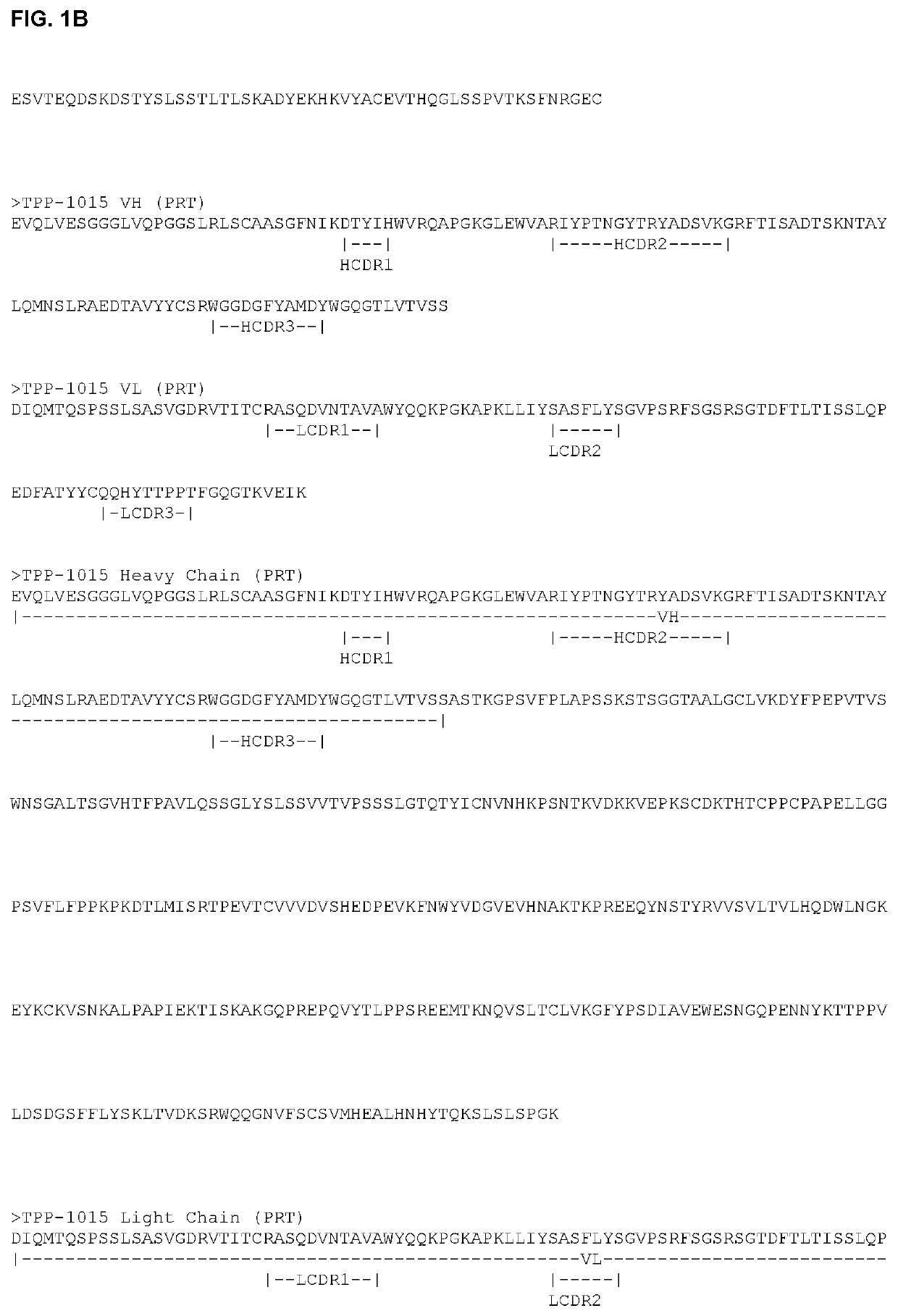 Antibody drug conjugates (ADCS) having enzymatically cleavable groups