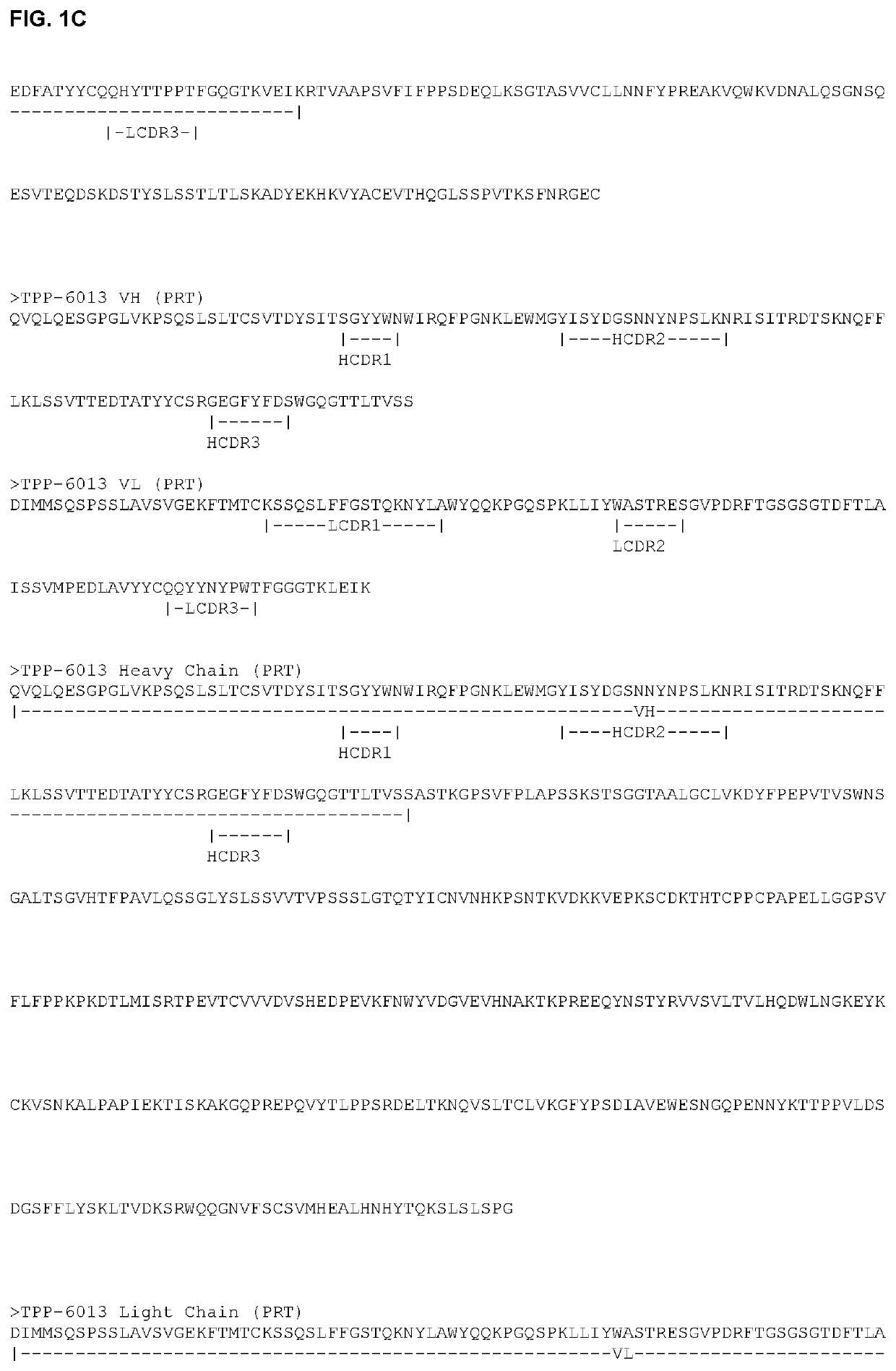 Antibody drug conjugates (ADCS) having enzymatically cleavable groups