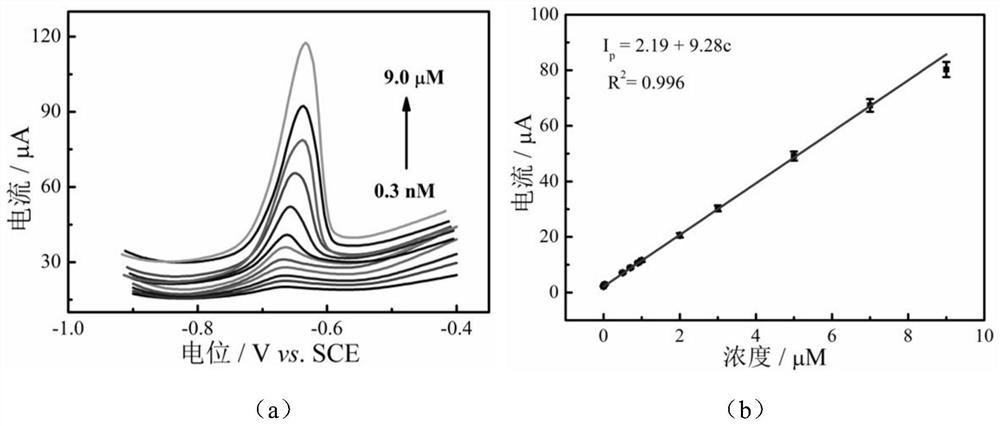 An electrochemical sensor for detecting lead ions