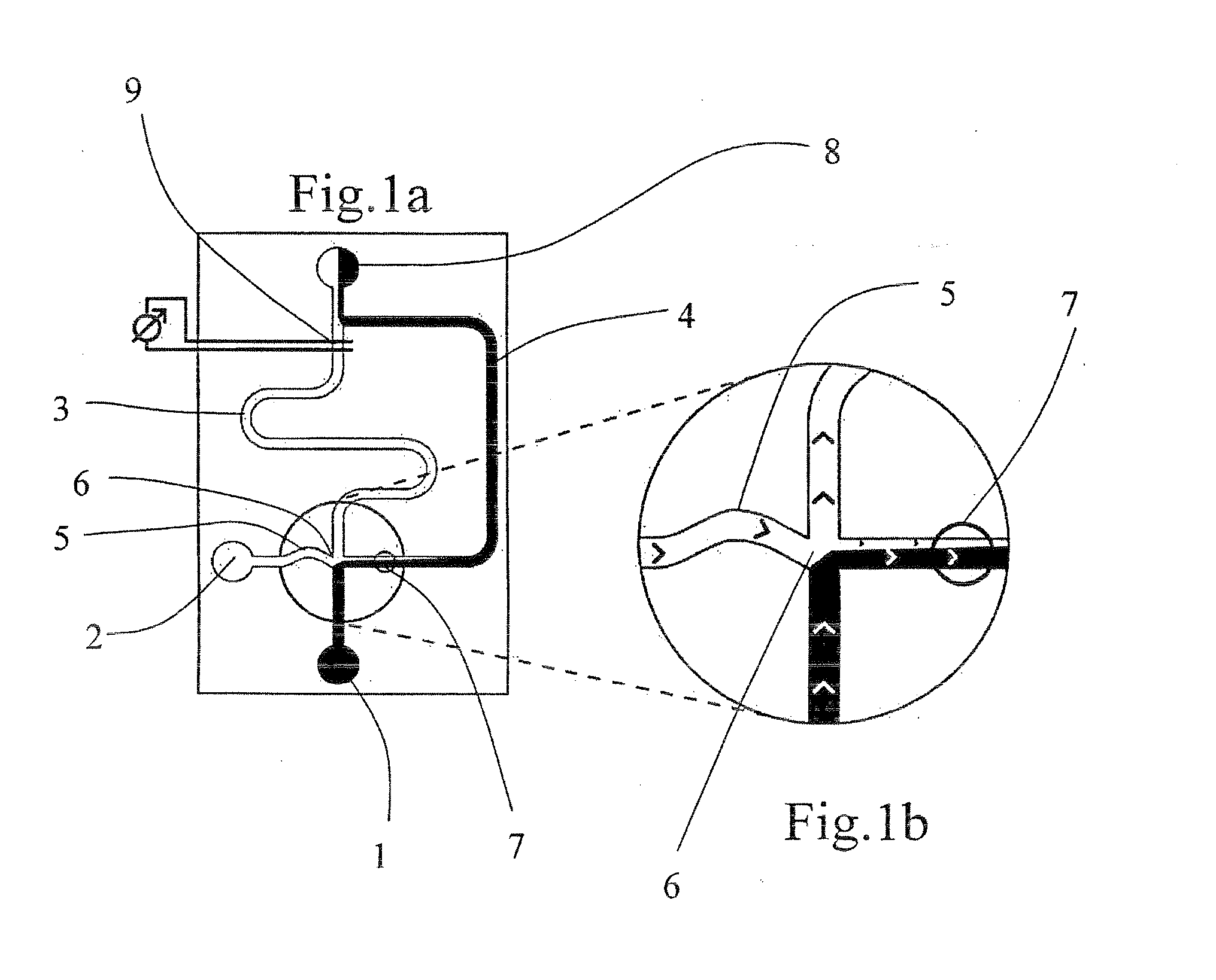 Process for Continuous On-Chip Flow Injection Analysis