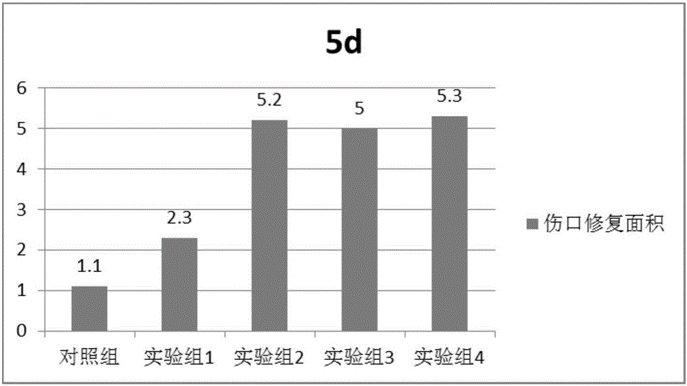 Skin ulcer healing combination and preparation method thereof