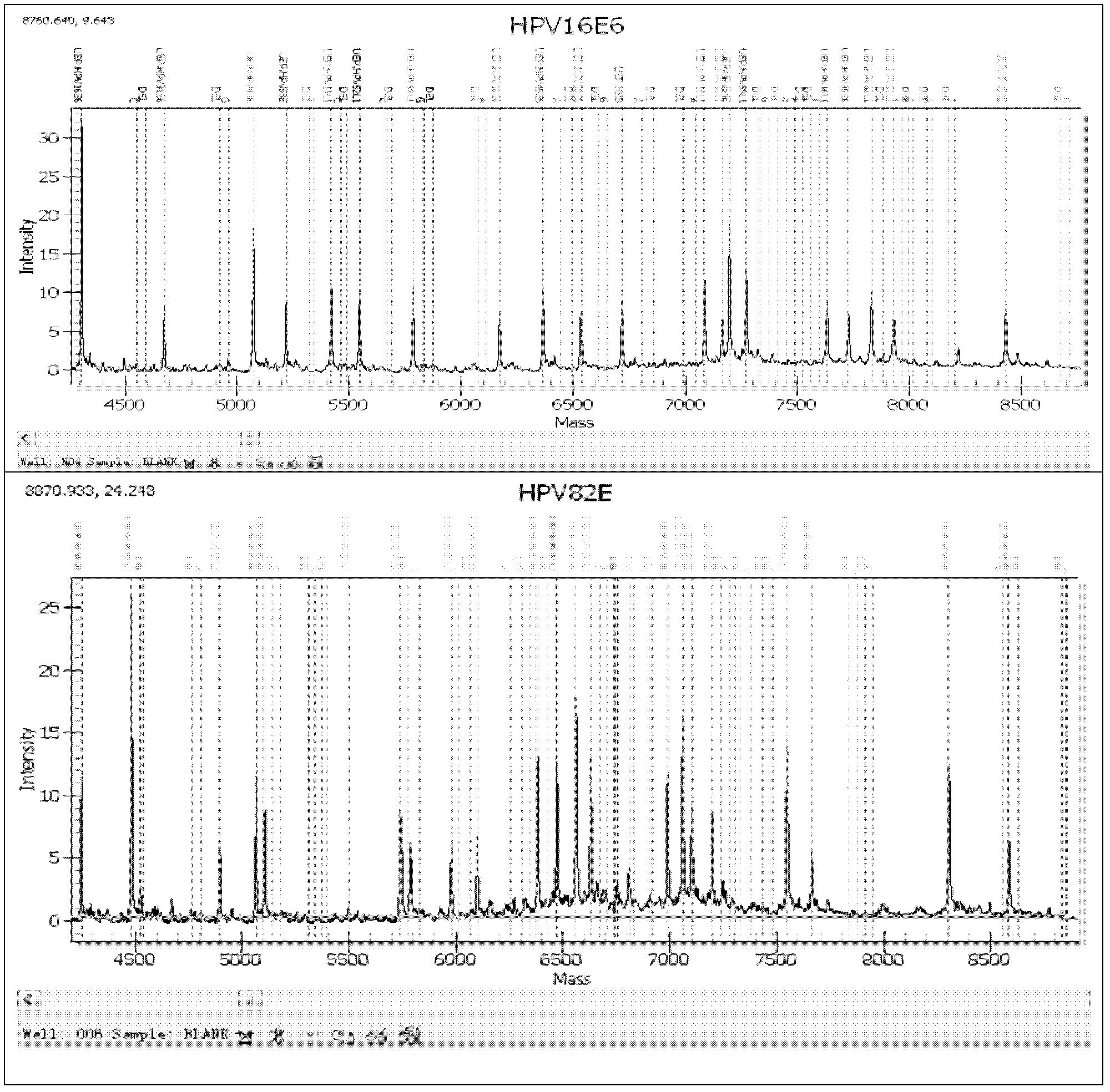 High accuracy detection method of human papilloma virus genotype