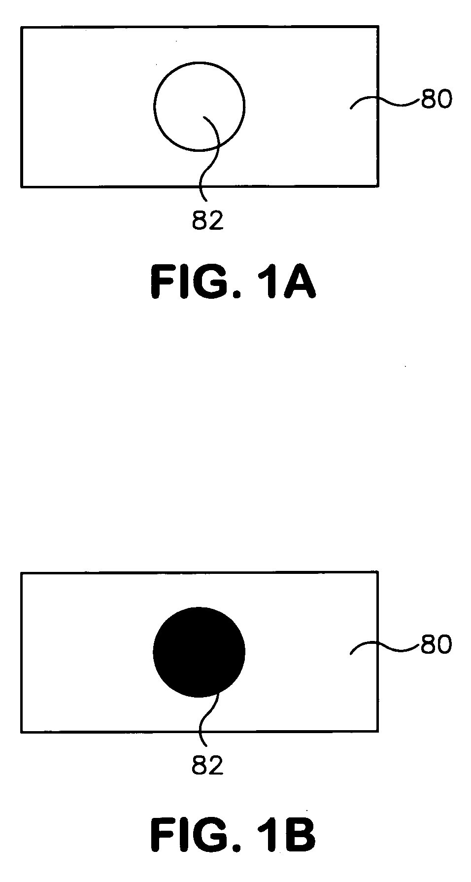 Method for detecting Candida on skin