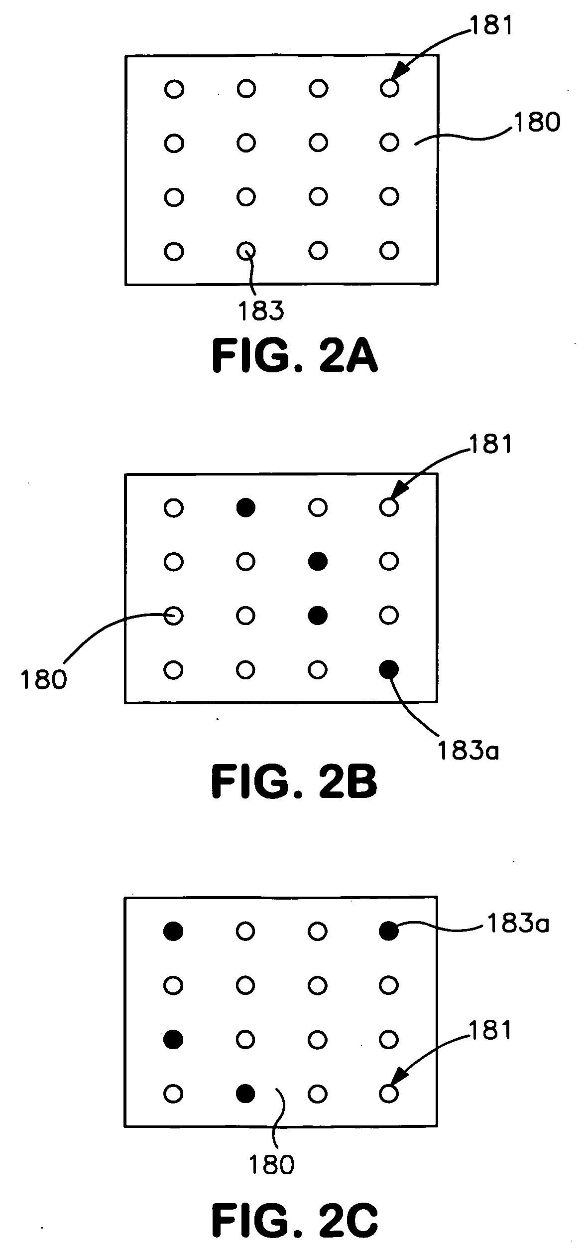 Method for detecting Candida on skin