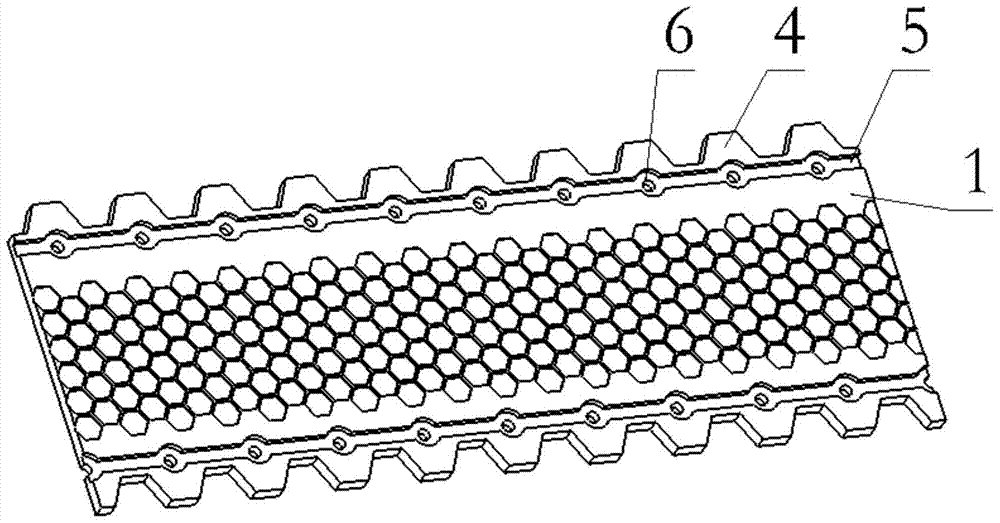 A row of nails used for aircraft snow take-off and landing blanket