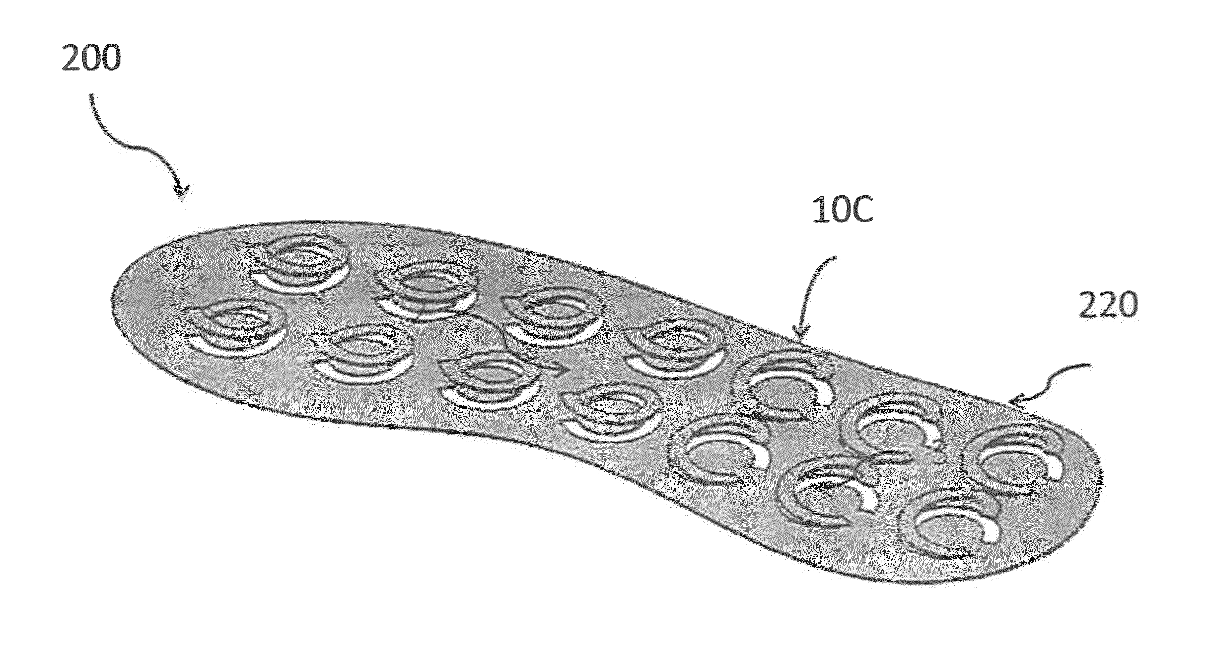 Shoe having carbon fiber composite spring soles and upper support