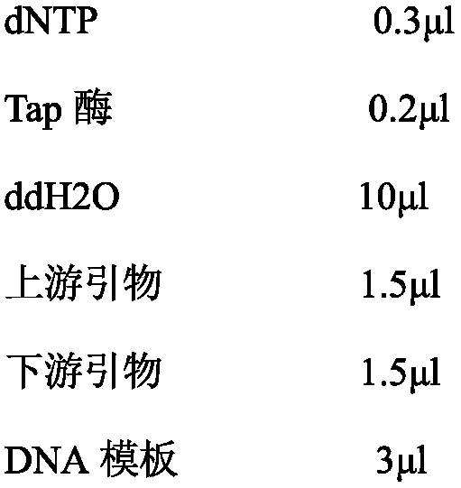 Sterile line mutant acquisition method