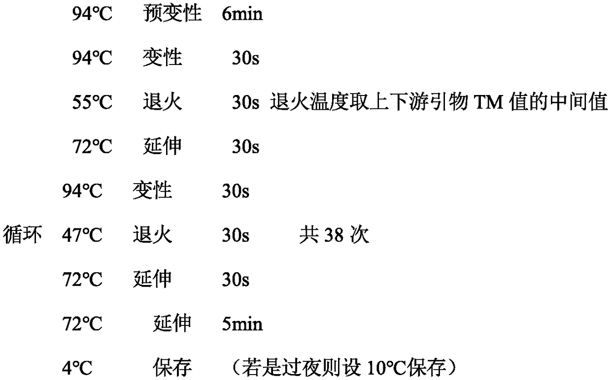 Sterile line mutant acquisition method