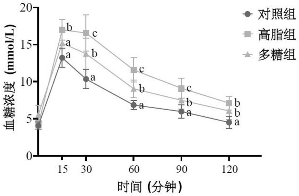 Application of cordyceps guangdongensis sporocarp polysaccharide in preparation of medicine for treating and improving obesity and related diseases