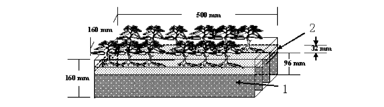 Large-scale propagation technology for mycorrhiza fungi inoculum