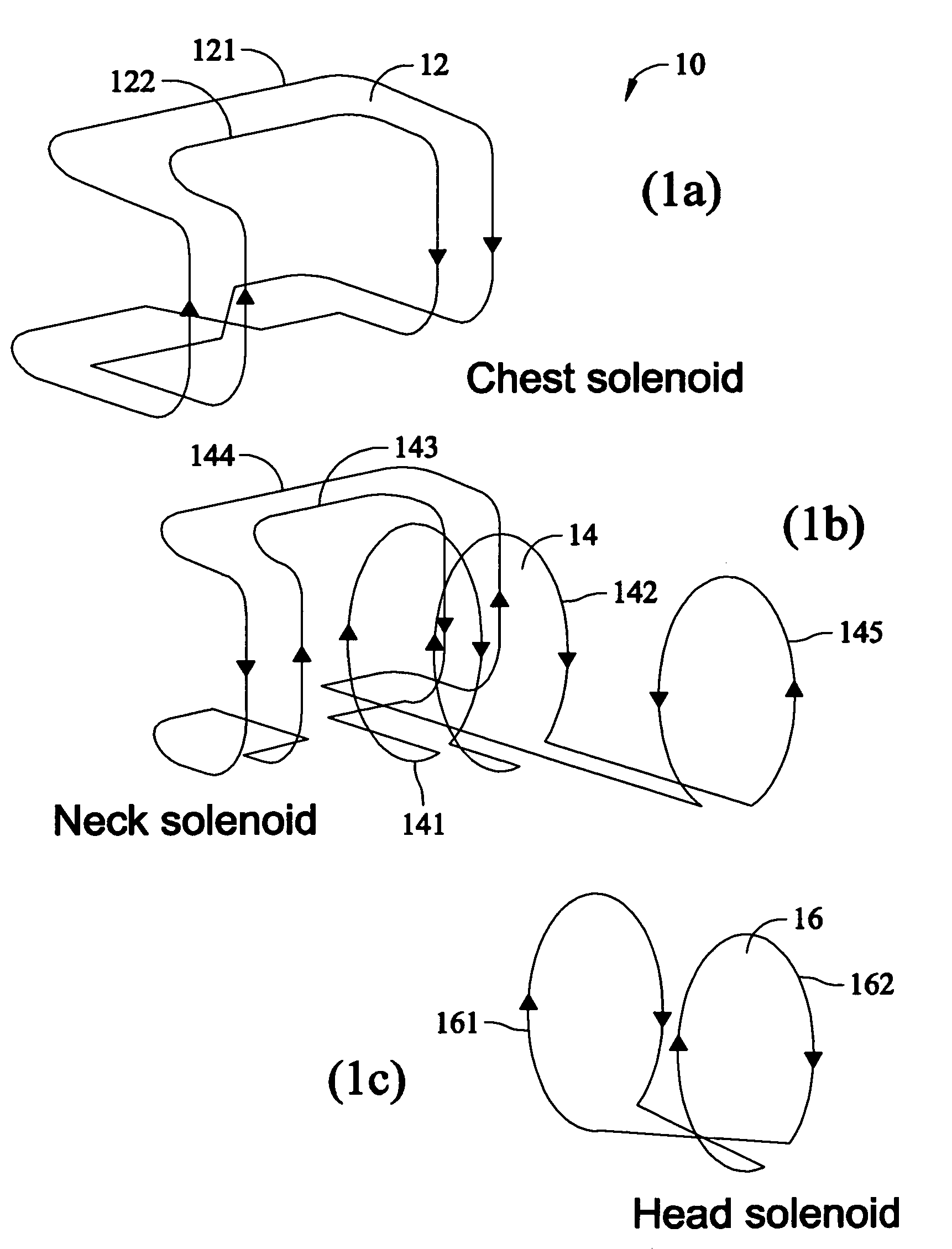 Vertical field neurovascular array coil