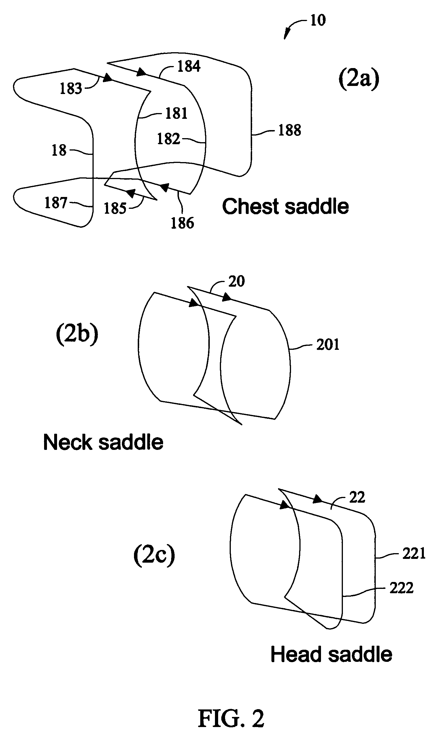 Vertical field neurovascular array coil