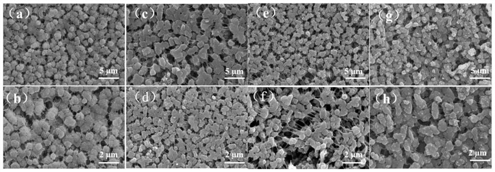 Preparation method and application of a molecularly imprinted composite membrane initiated by a surface functional monomer prepolymerization system