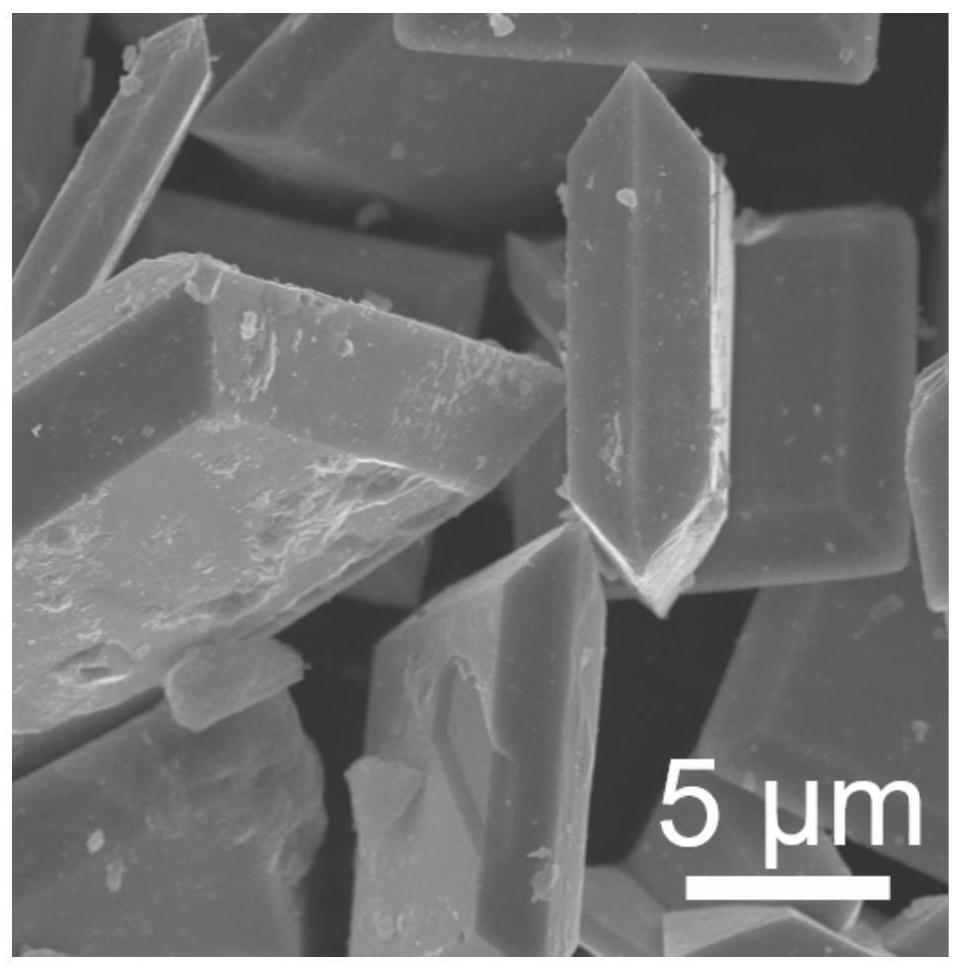 Stannous oxide/graphene heterojunction composite material, preparation method and application thereof, and metal lithium negative electrode taking stannous oxide/graphene heterojunction composite material as host