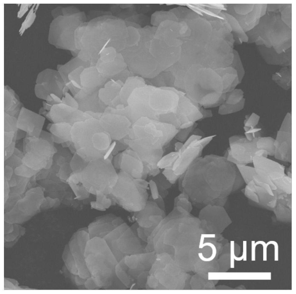 Stannous oxide/graphene heterojunction composite material, preparation method and application thereof, and metal lithium negative electrode taking stannous oxide/graphene heterojunction composite material as host