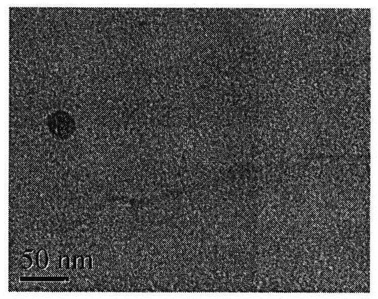 Preparation of a multi-walled carbon nanotube composite material modified by folic acid and chitosan