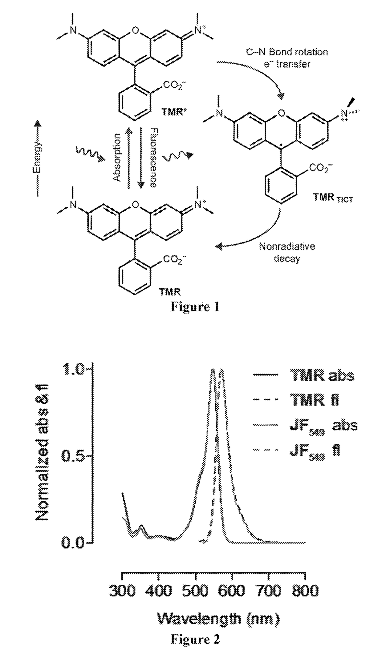 Azetidine-substituted fluorescent compounds