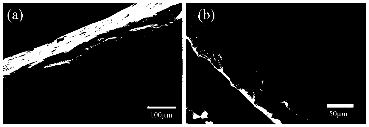 High-thermal-conductivity polypropylene/graphene composite material and preparation method thereof