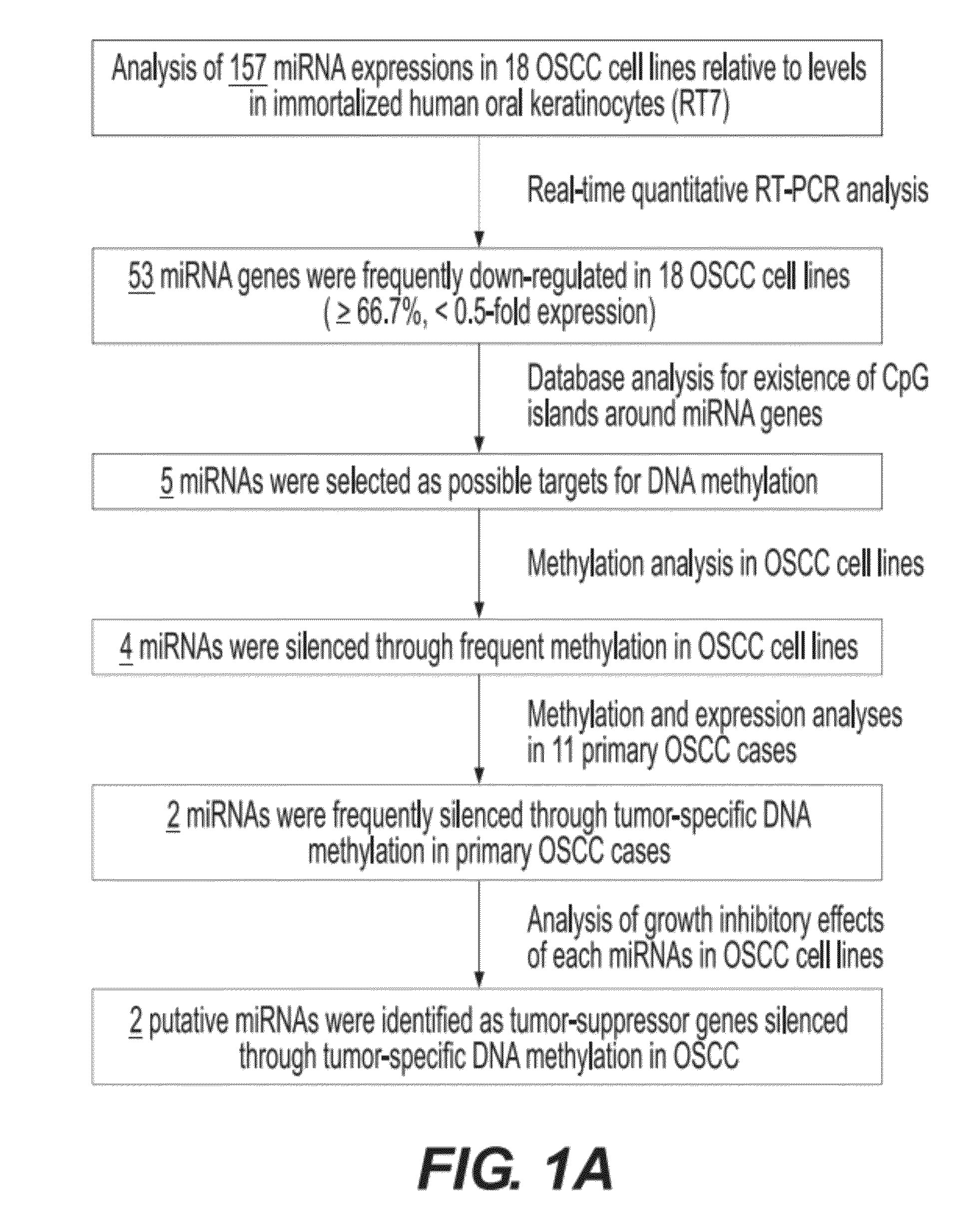 Method for detecting carcinoma and agent for suppressing carcinoma