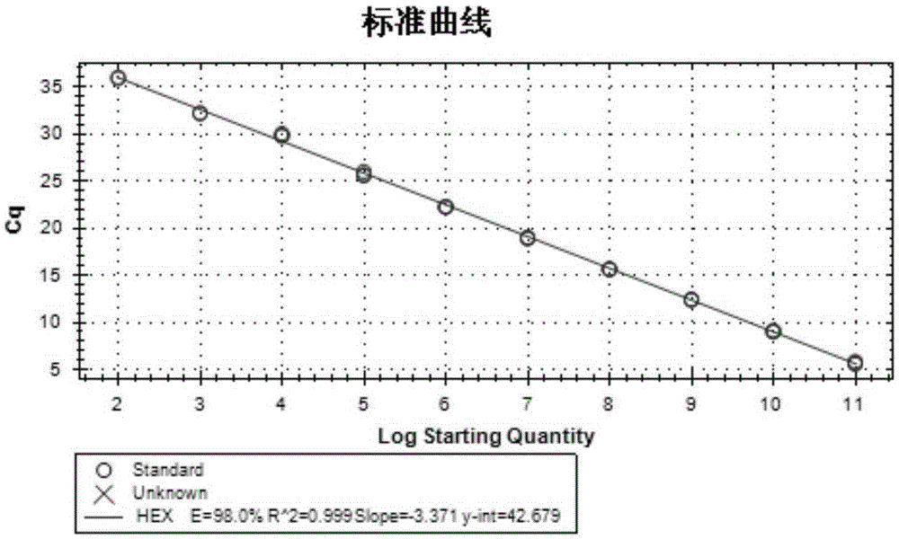 Kit and method for detecting duck hepatitis A viruses through dual TaqMan fluorescent quantitation RT-PCR