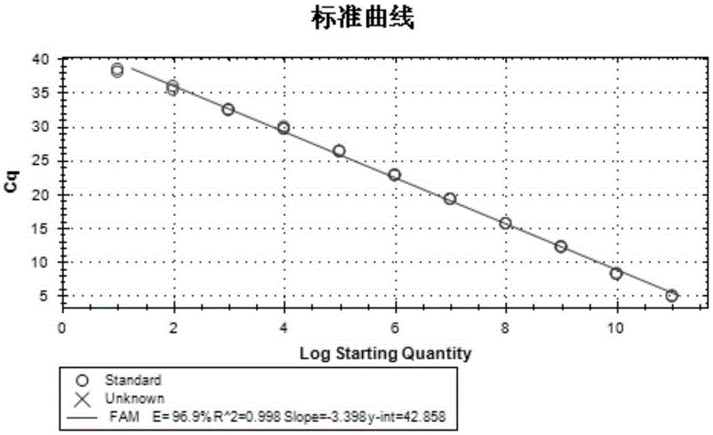 Kit and method for detecting duck hepatitis A viruses through dual TaqMan fluorescent quantitation RT-PCR