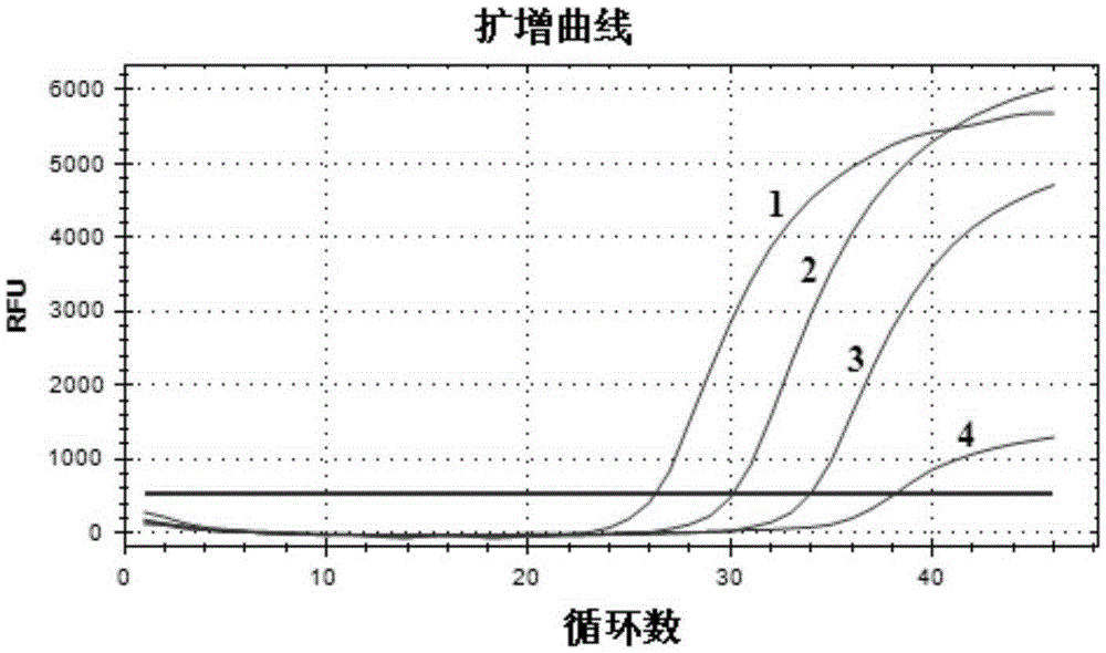 Kit and method for detecting duck hepatitis A viruses through dual TaqMan fluorescent quantitation RT-PCR