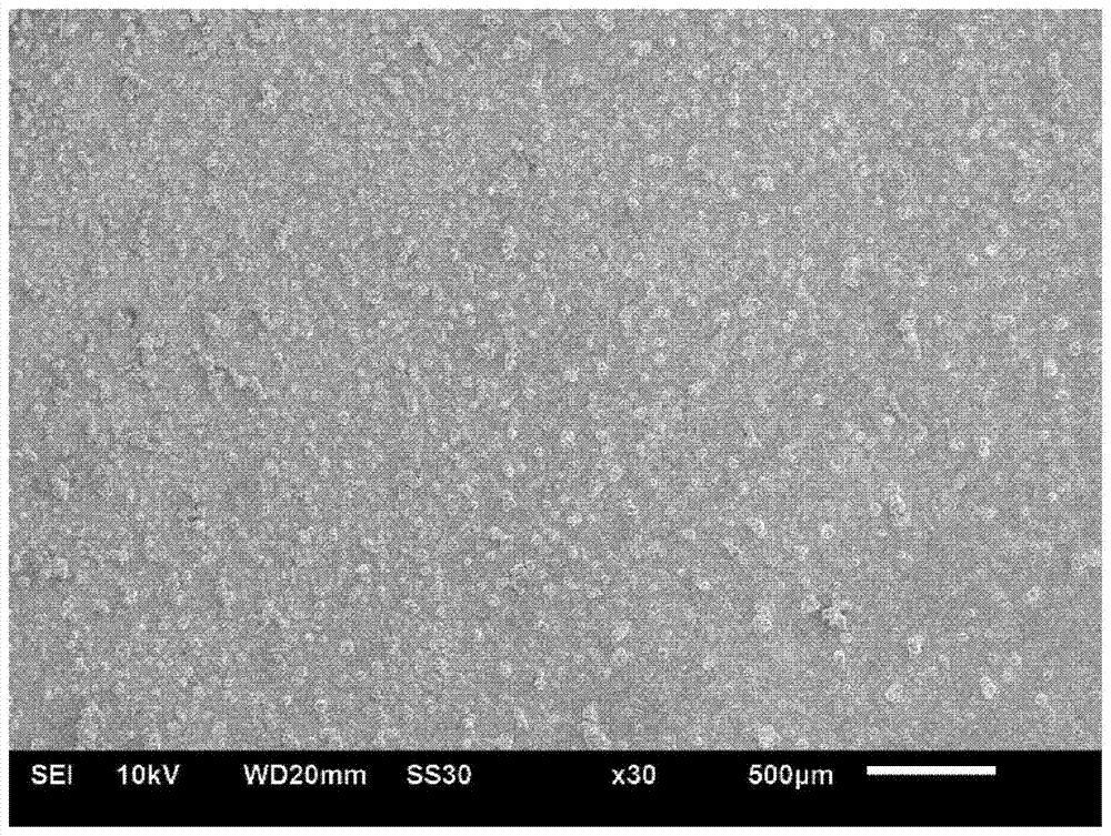 Porous hydrophilic stainless steel heat exchange tube and surface treatment method thereof