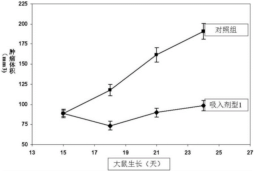 Chemotherapy-type anticancer drug inhalation powder preparation and preparing method and application thereof