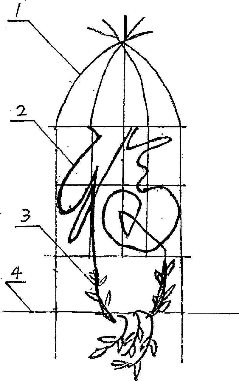 Method for culturing plant characters