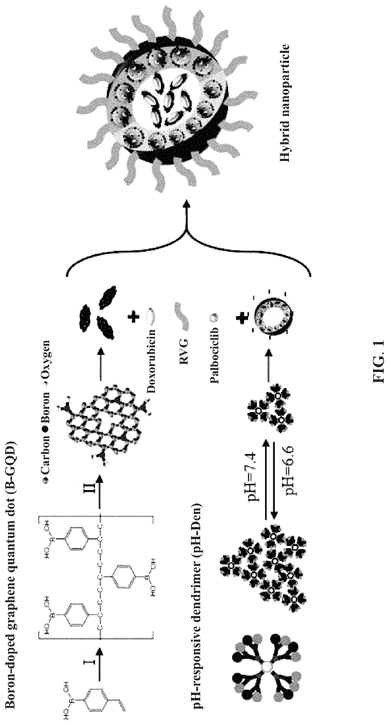 Hybrid nanoparticles containing boron-doped graphene quantum dots and applications thereof