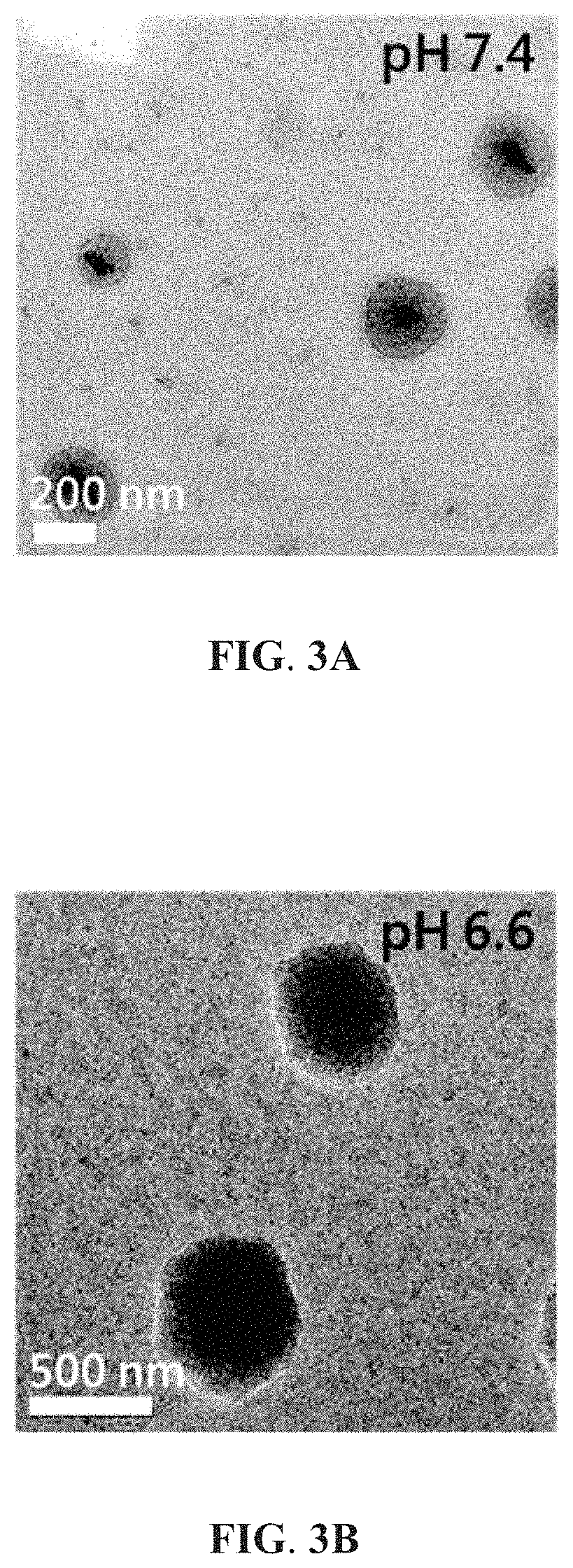 Hybrid nanoparticles containing boron-doped graphene quantum dots and applications thereof