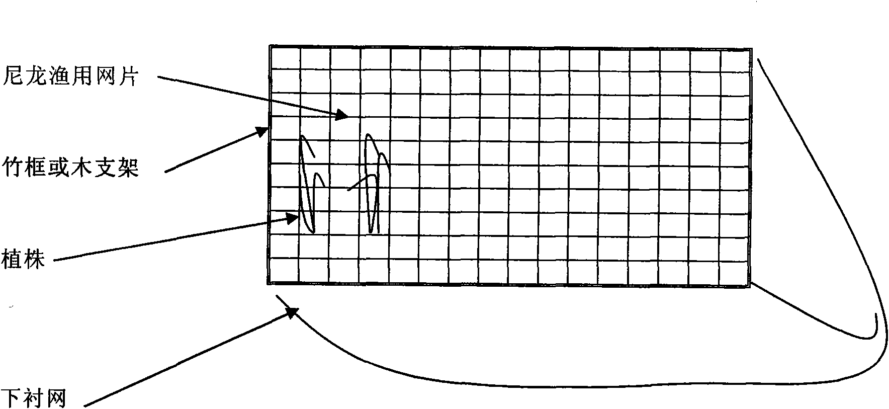 Floating bed plant method for repairing aquiculture pond environment