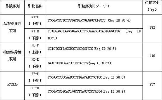 Standard plasmid molecule for transgenic maize Mon810 detection and construction method thereof