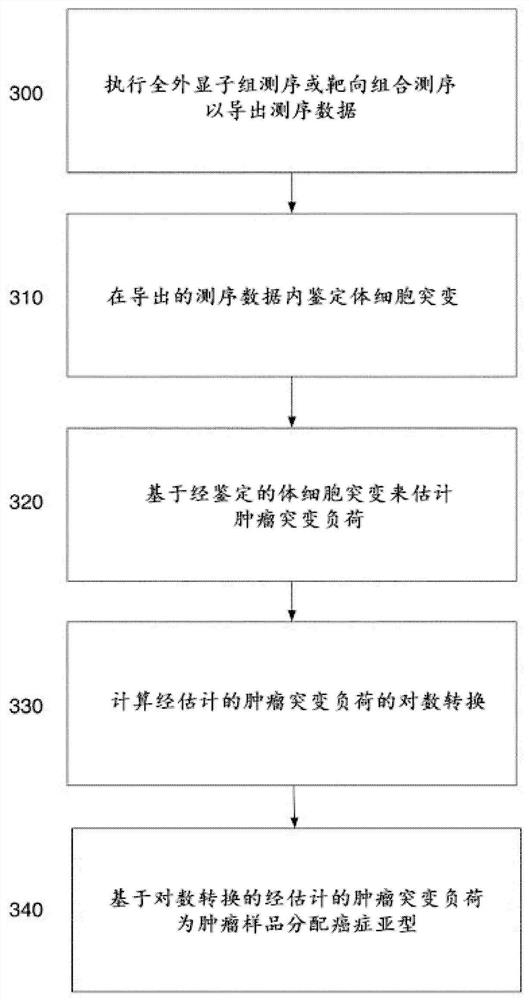 Tumor classification based on predicted tumor mutational burden