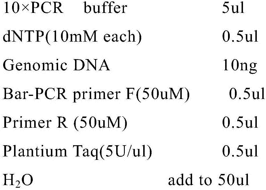 Microbial preparation for treating excrement, preparation method thereof and application