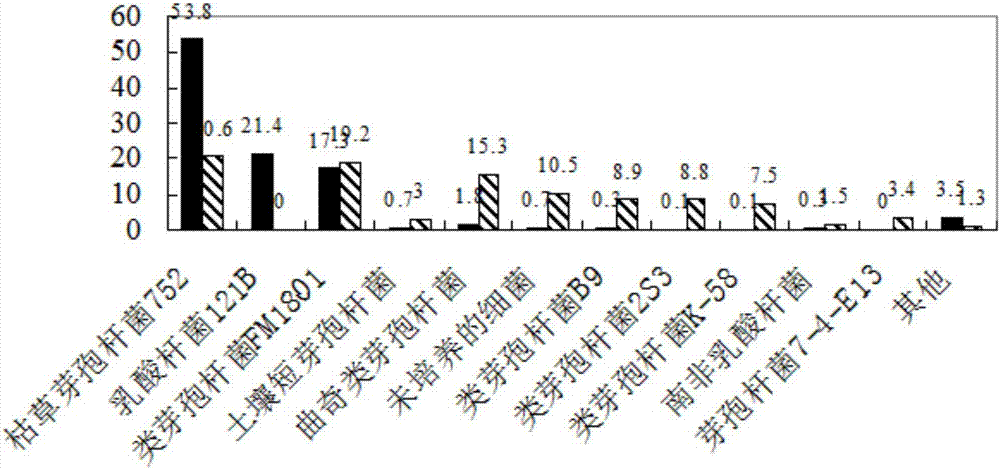 Microbial preparation for treating excrement, preparation method thereof and application