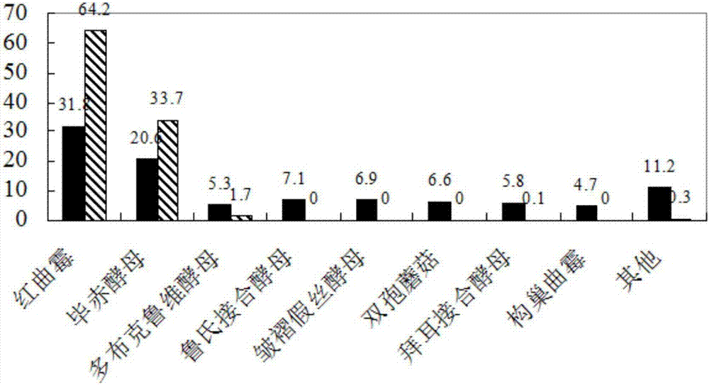 Microbial preparation for treating excrement, preparation method thereof and application