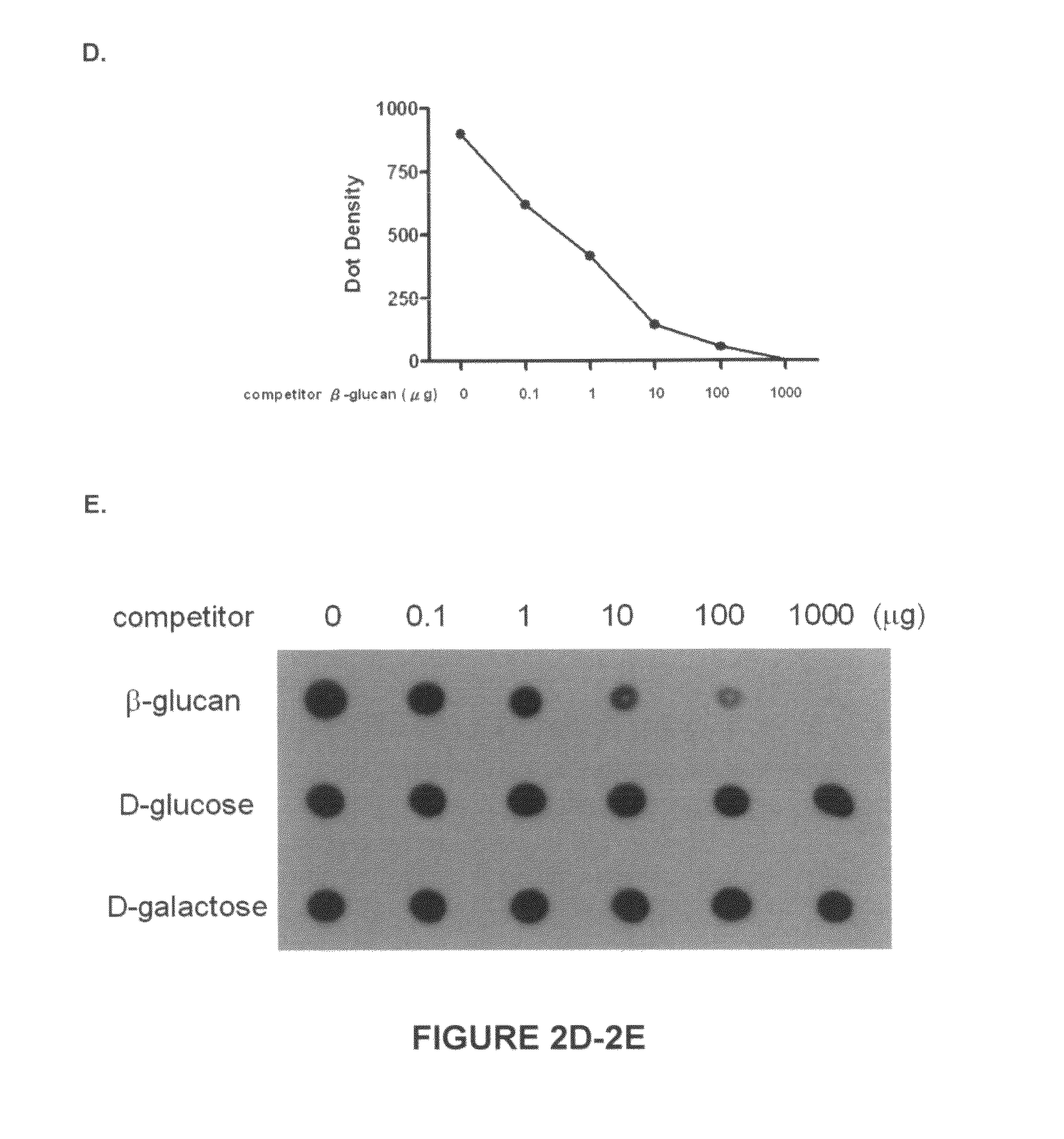 Compositions and methods for identifying response targets and treating flavivirus infection responses