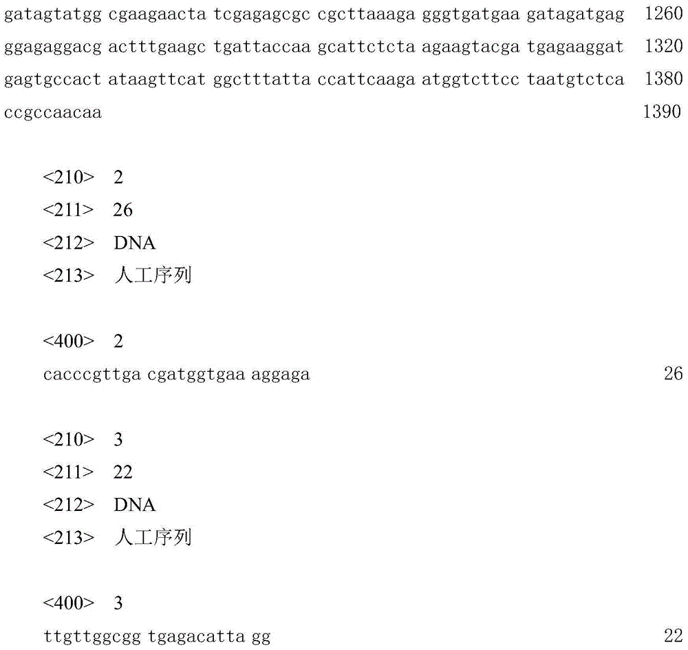 Maize zmERF18 gene promoter and application thereof