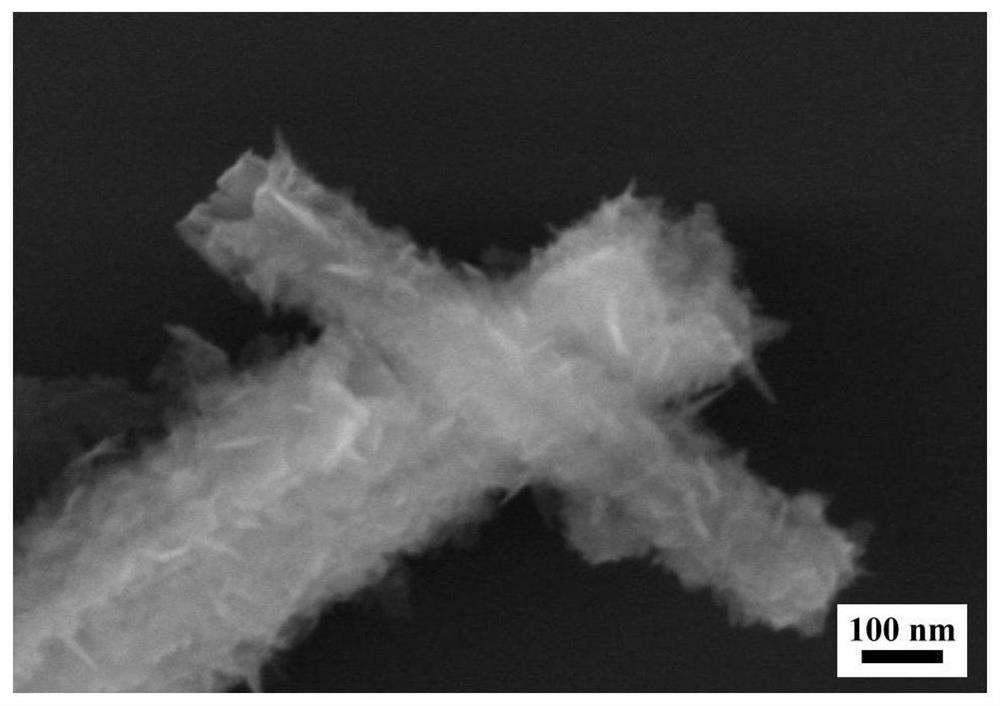 A fish scale hollow snse nanotube self-powered infrared detector and its preparation method