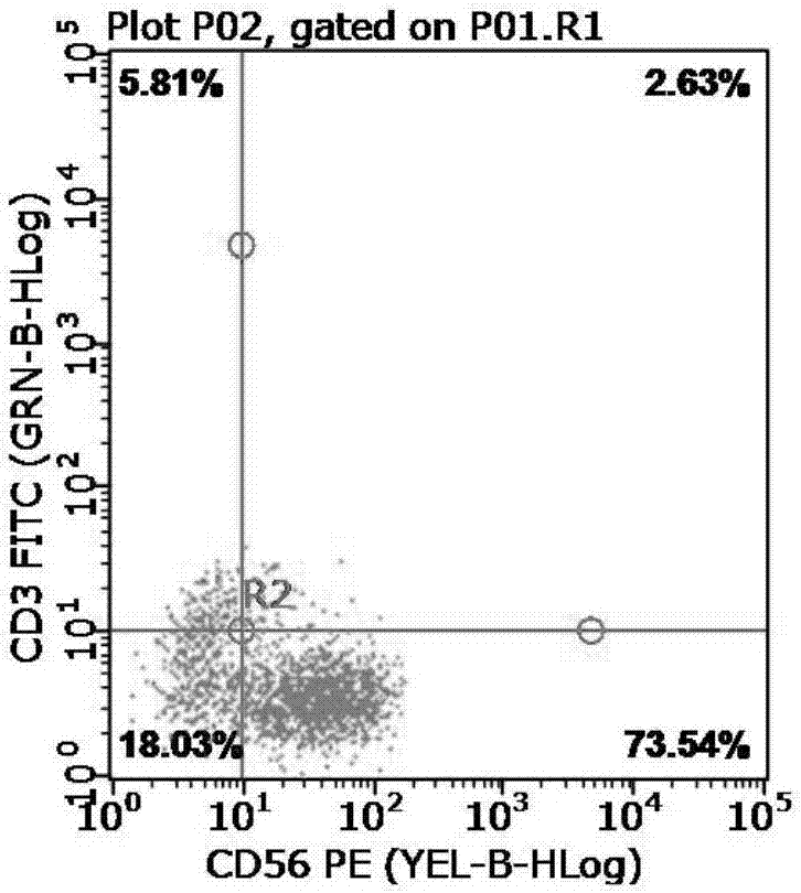 In-vitro expansion method for NK (Natural Killer) cells