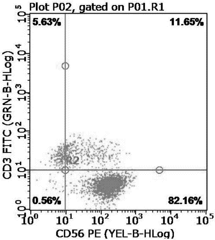 In-vitro expansion method for NK (Natural Killer) cells