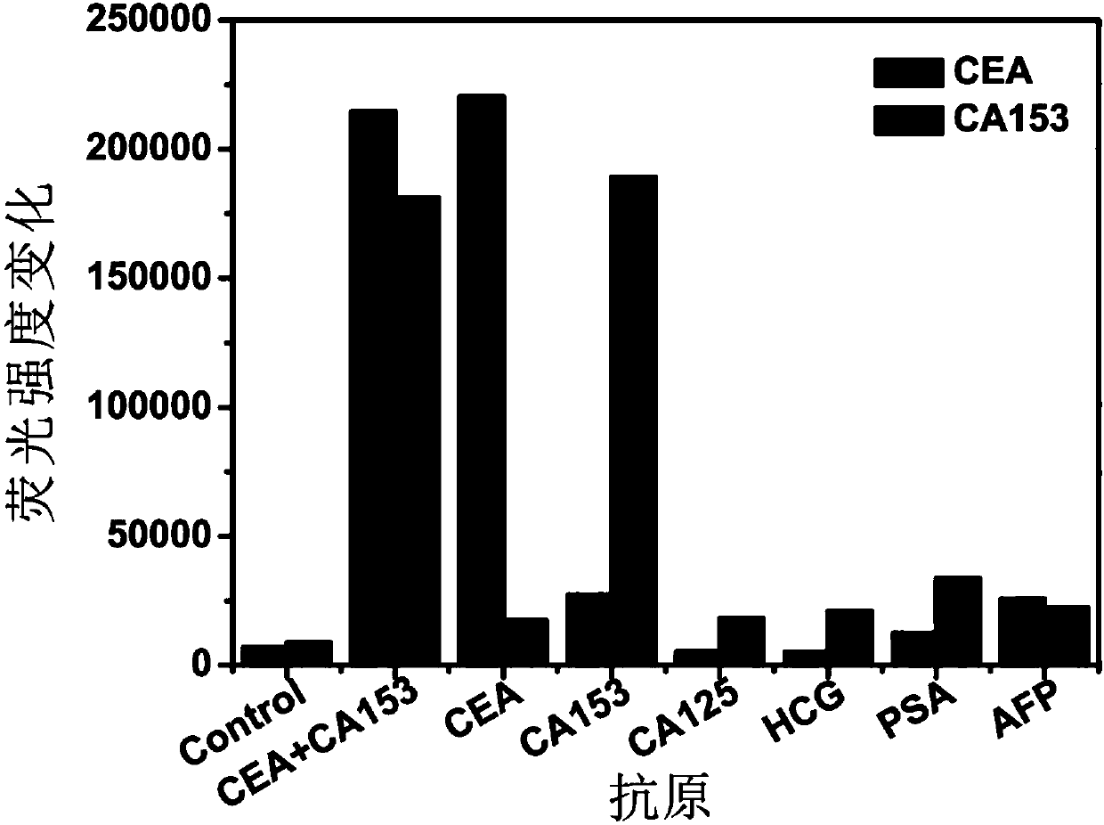 Preparation and detection methods of fluorescent quantitation high-sensitivity visual joint inspection immunochromatography test strip based on magnetic enrichment