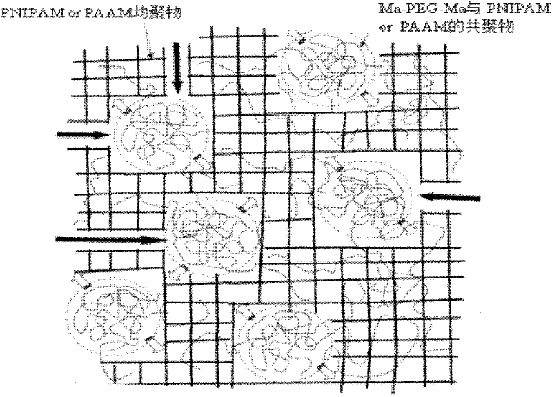 Double network polymer hydrogel and preparation method thereof