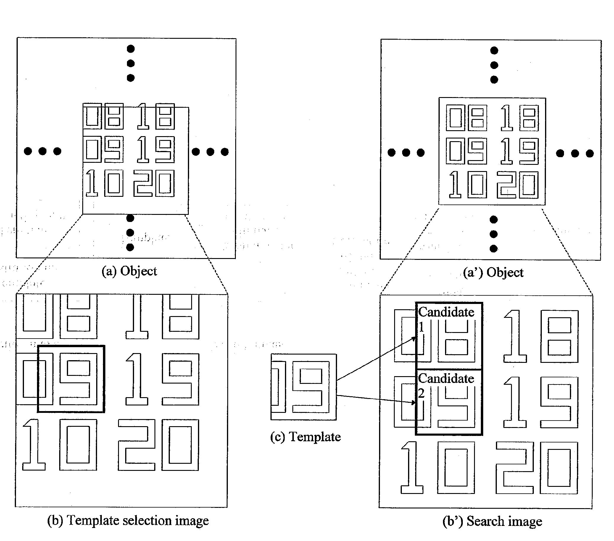 Inspection Apparatus and Method